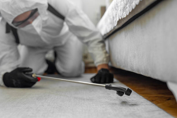 Professional Termite Control technician working in Kingwood, WV